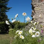 L'epinette 3* Torchefelon