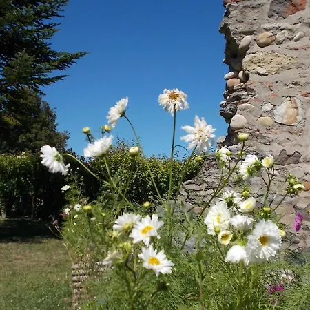L'epinette 3* Torchefelon