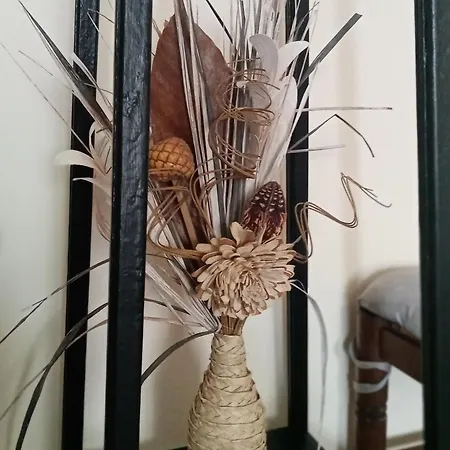 L'epinette Torchefelon