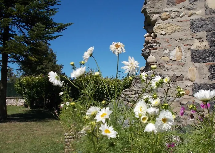 L'epinette 3* Torchefelon